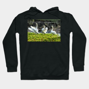 Three White Swans art - Follow the Leader Hoodie